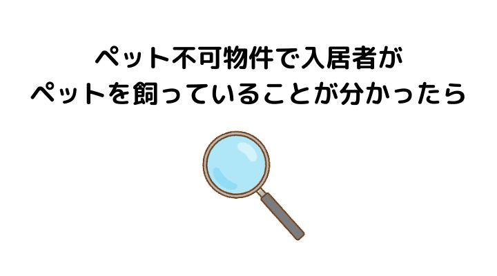 弁護士が解説 ペット不可物件で入居者がペットを飼っていた時の対処法は 不動産トラブルの解説室
