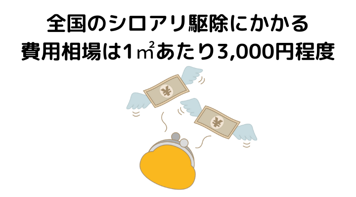 シロアリ駆除にかかる費用相場を徹底解説 業者の選び方や保険 補助金 Diyで使える作業や必要な薬剤について 不動産購入の教科書