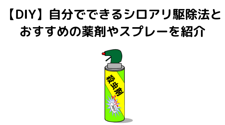 シロアリ駆除にかかる費用相場を徹底解説 業者の選び方や保険 補助金 Diyで使える作業や必要な薬剤について 不動産購入の教科書