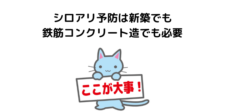 シロアリ予防とは 駆除との違いや必要性から必要な時期 自分でできる予防法について 不動産購入の教科書