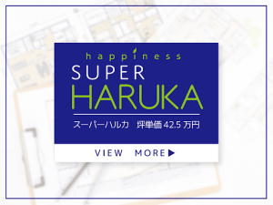 ハピネス SUPER HARUKA