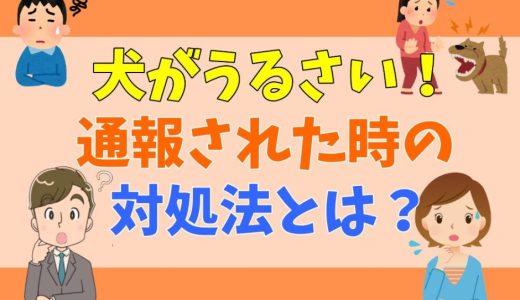 犬がうるさいと通報されたら？殺意がわくほどうるさく感じるケースもある