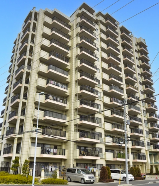 コットンアイランドアルテ