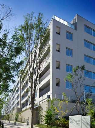 センチュリーフォレスト